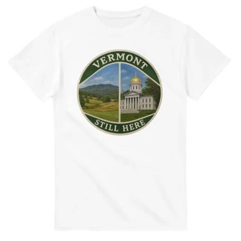 Painted, panelled scenic illustration for Vermont, with paired local scenes and the place name in lettering.