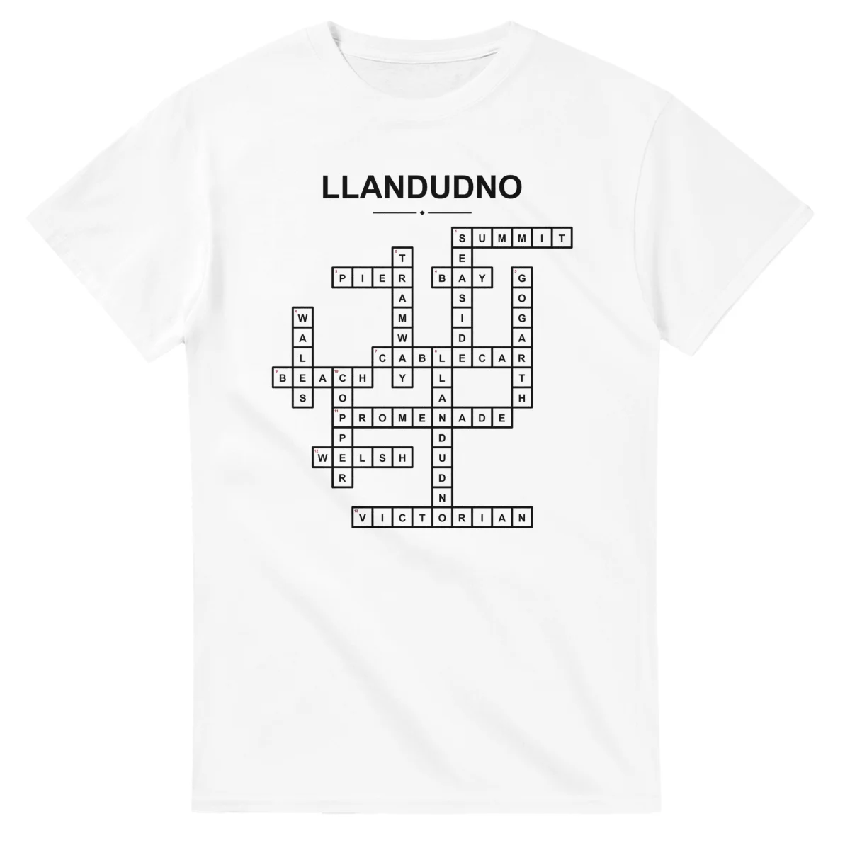 Monochrome crossword sheet for Llandudno, with a large place-name heading, a letter grid, and numbered across and down clues.