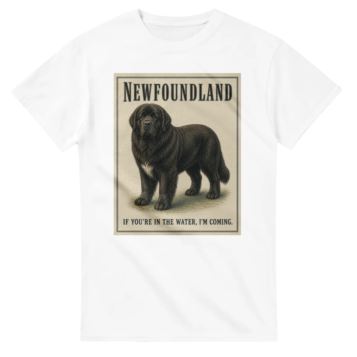 Newfoundland - Well Bred