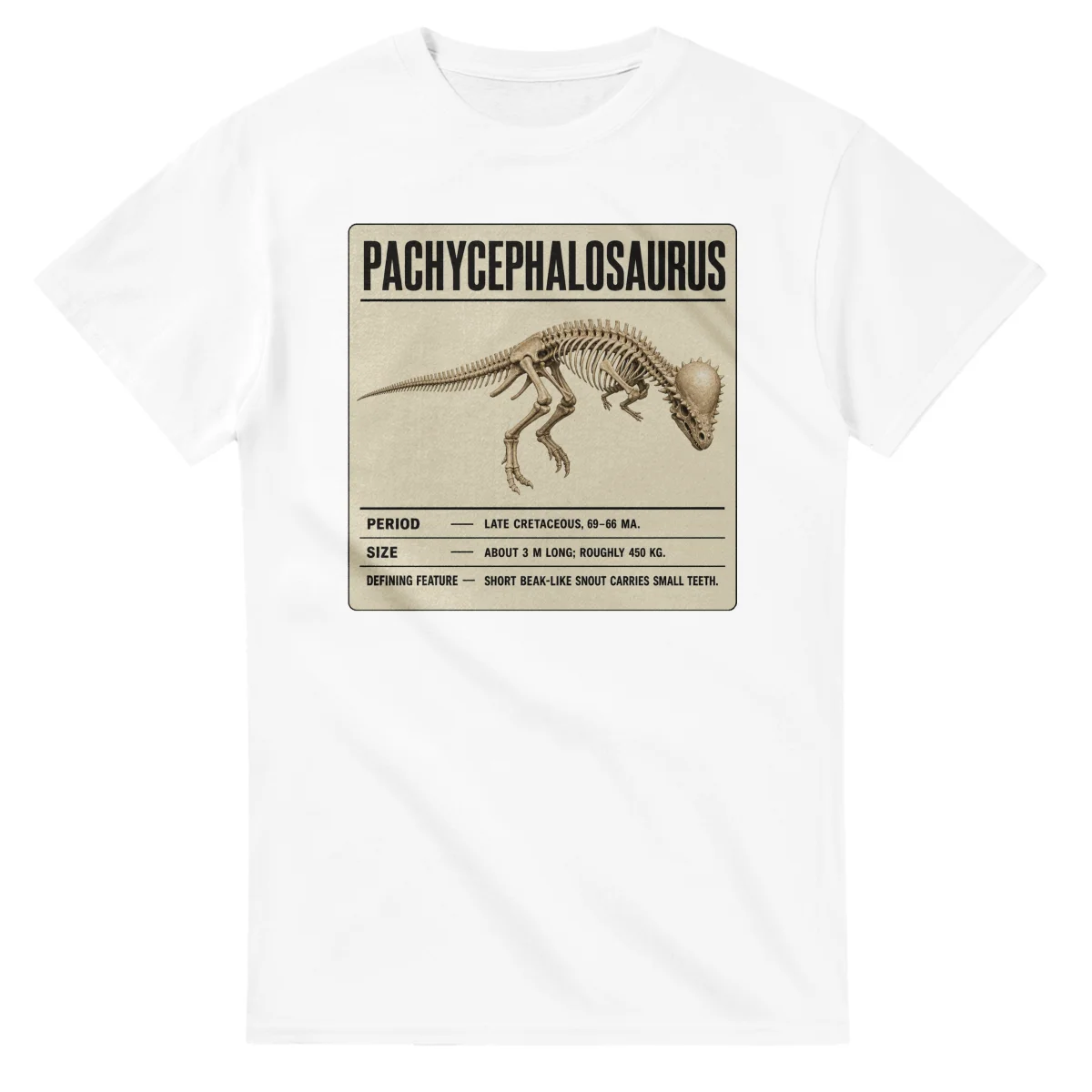 Pachycephalosaurus - Set in Stone