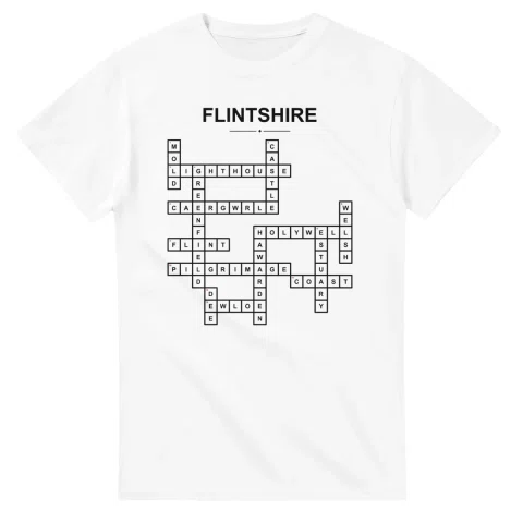 Monochrome crossword sheet for Flintshire, with a large place-name heading, a letter grid, and numbered across and down clues.