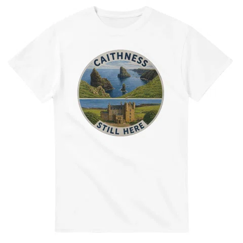Painted, panelled scenic illustration for Caithness, with paired local scenes and the place name in lettering.