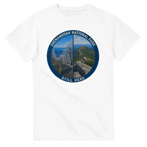 Painted, panelled scenic illustration for Shenandoah National Park, with paired local scenes and the place name in lettering.