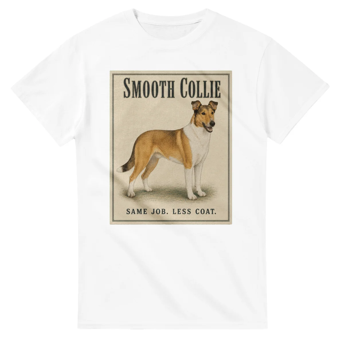 Smooth Collie - Well Bred