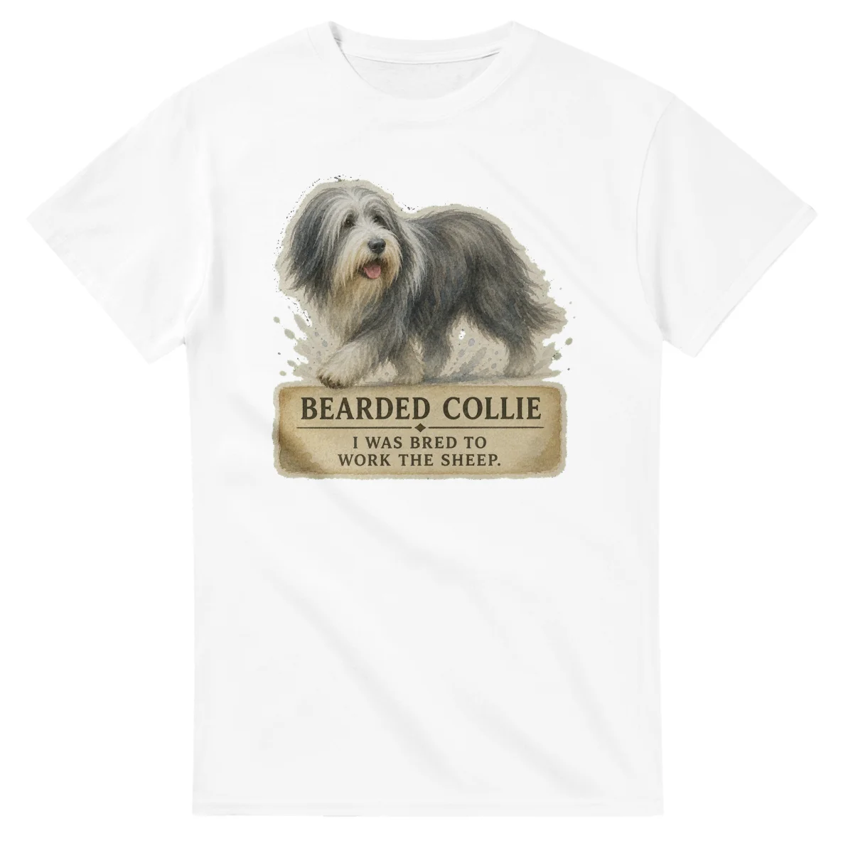 Bearded Collie - Working Roots