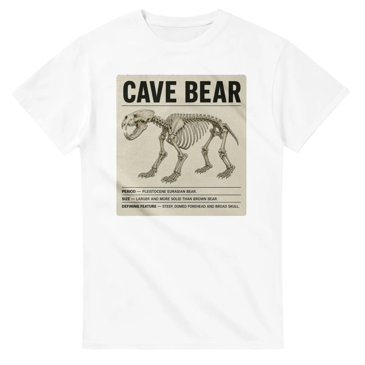 Cave bear - Set in Stone