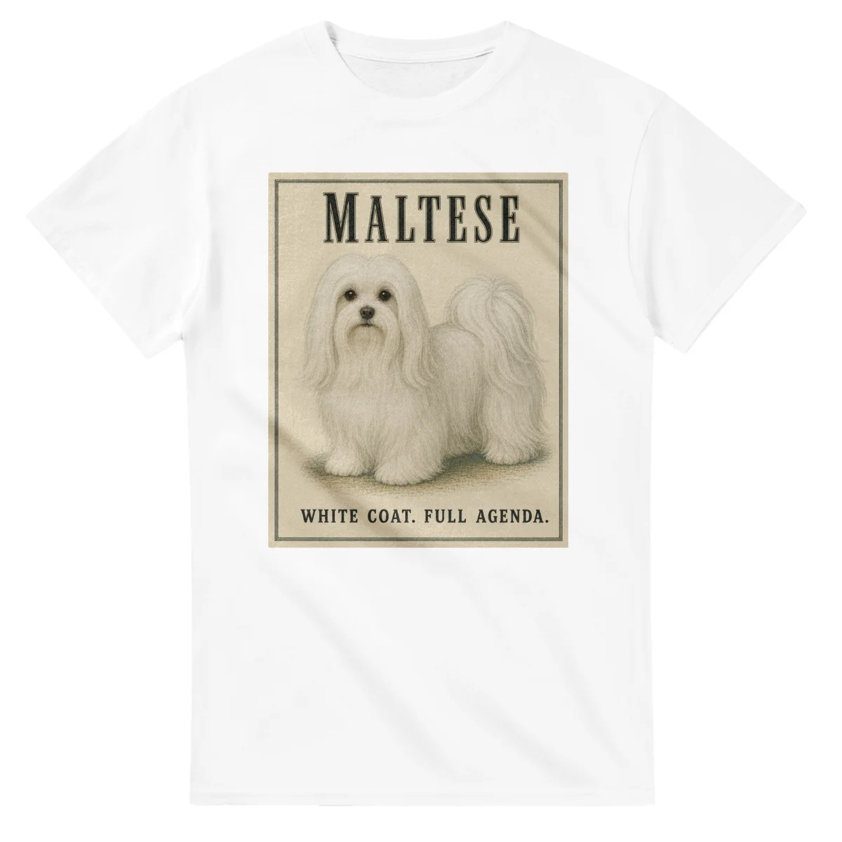 Maltese - Well Bred