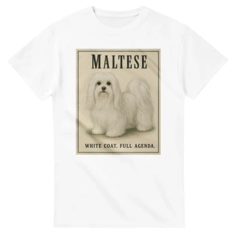 Maltese - Well Bred