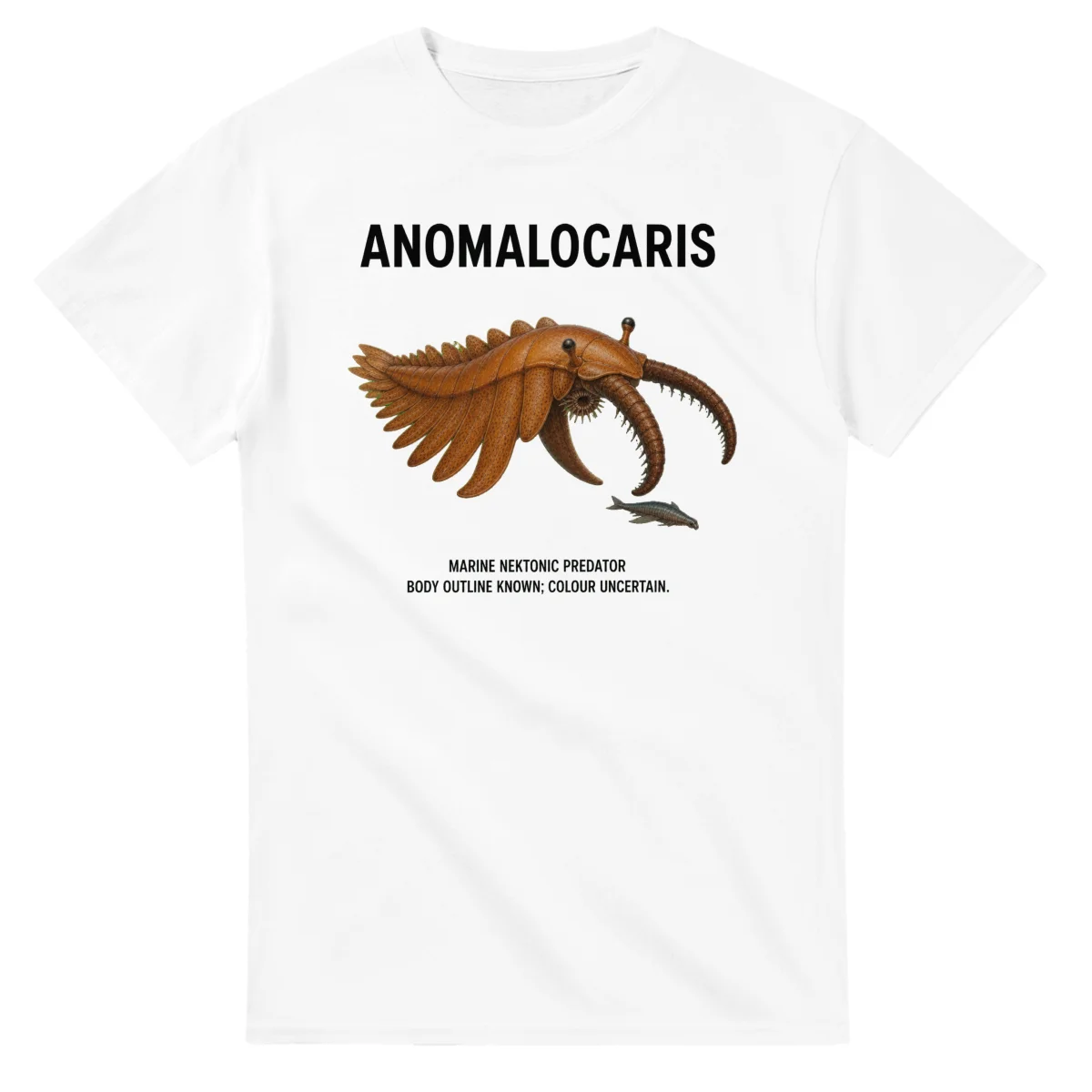Anomalocaris - Artist's Impression