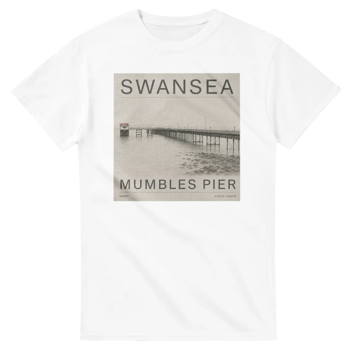 Fine-line engraving-style drawing for Swansea, with a landmark caption and small coordinate text.