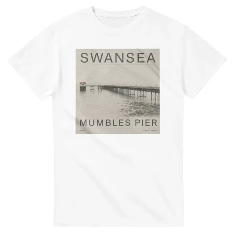Fine-line engraving-style drawing for Swansea, with a landmark caption and small coordinate text.