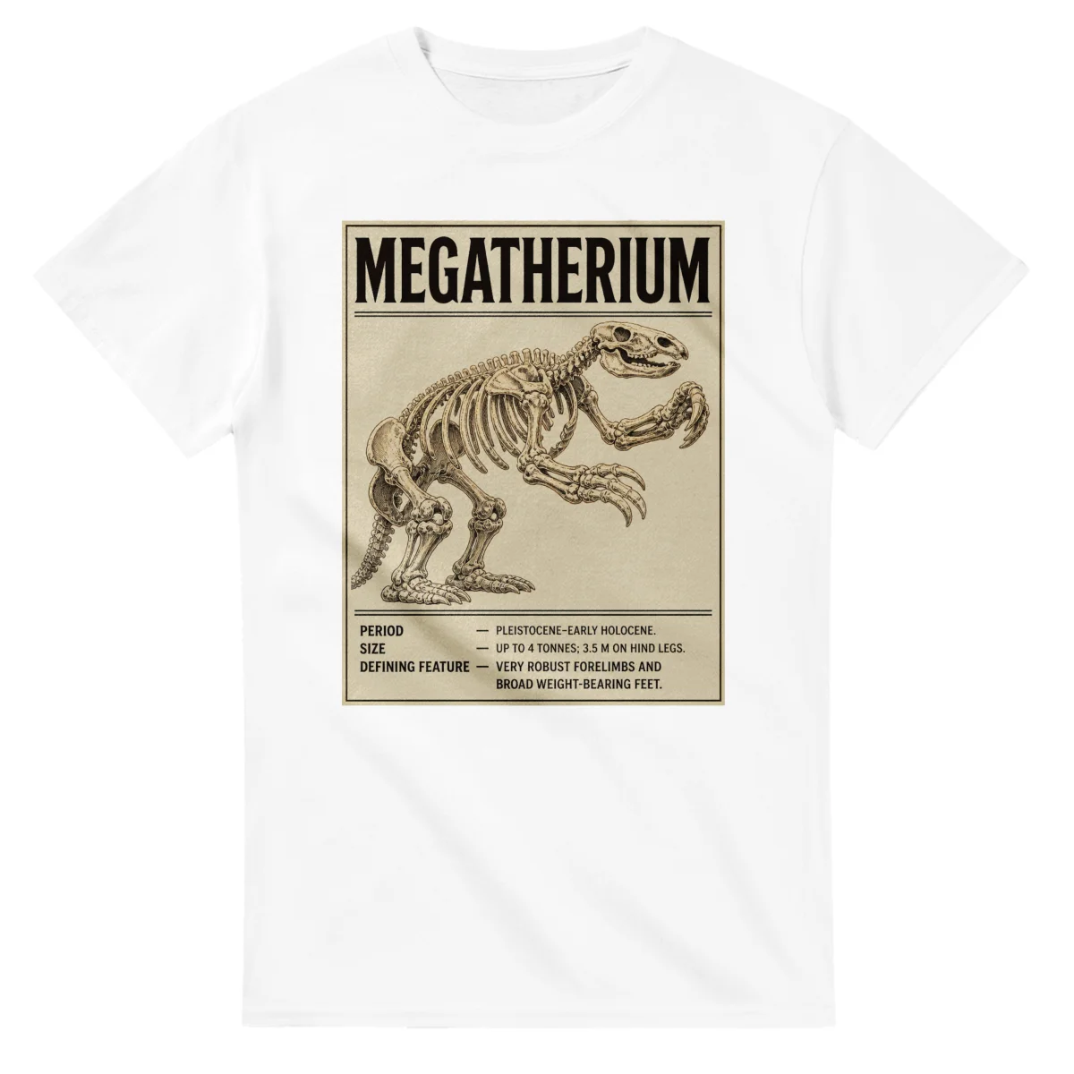 Megatherium - Set in Stone