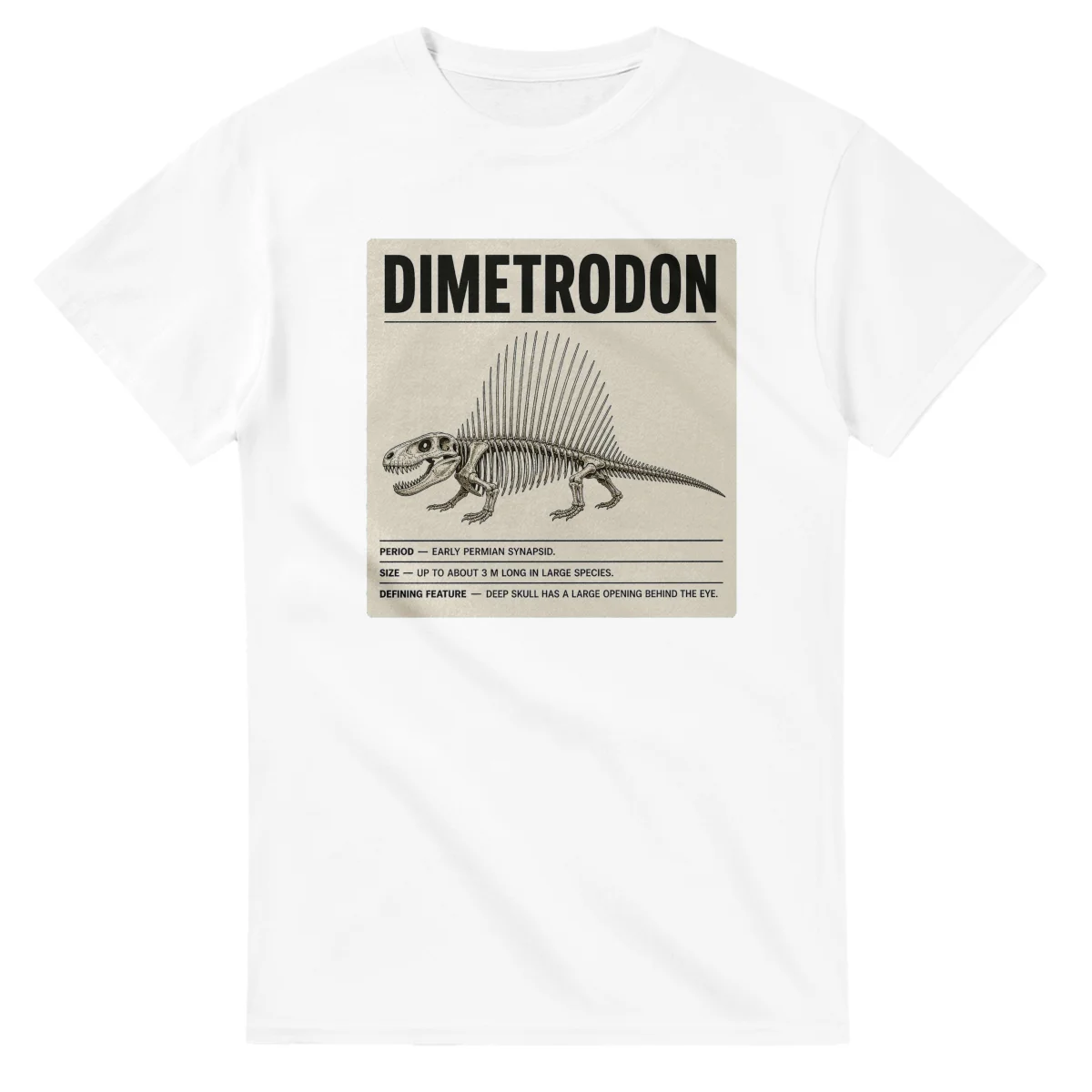 Dimetrodon - Set in Stone