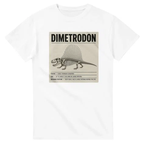 Dimetrodon - Set in Stone