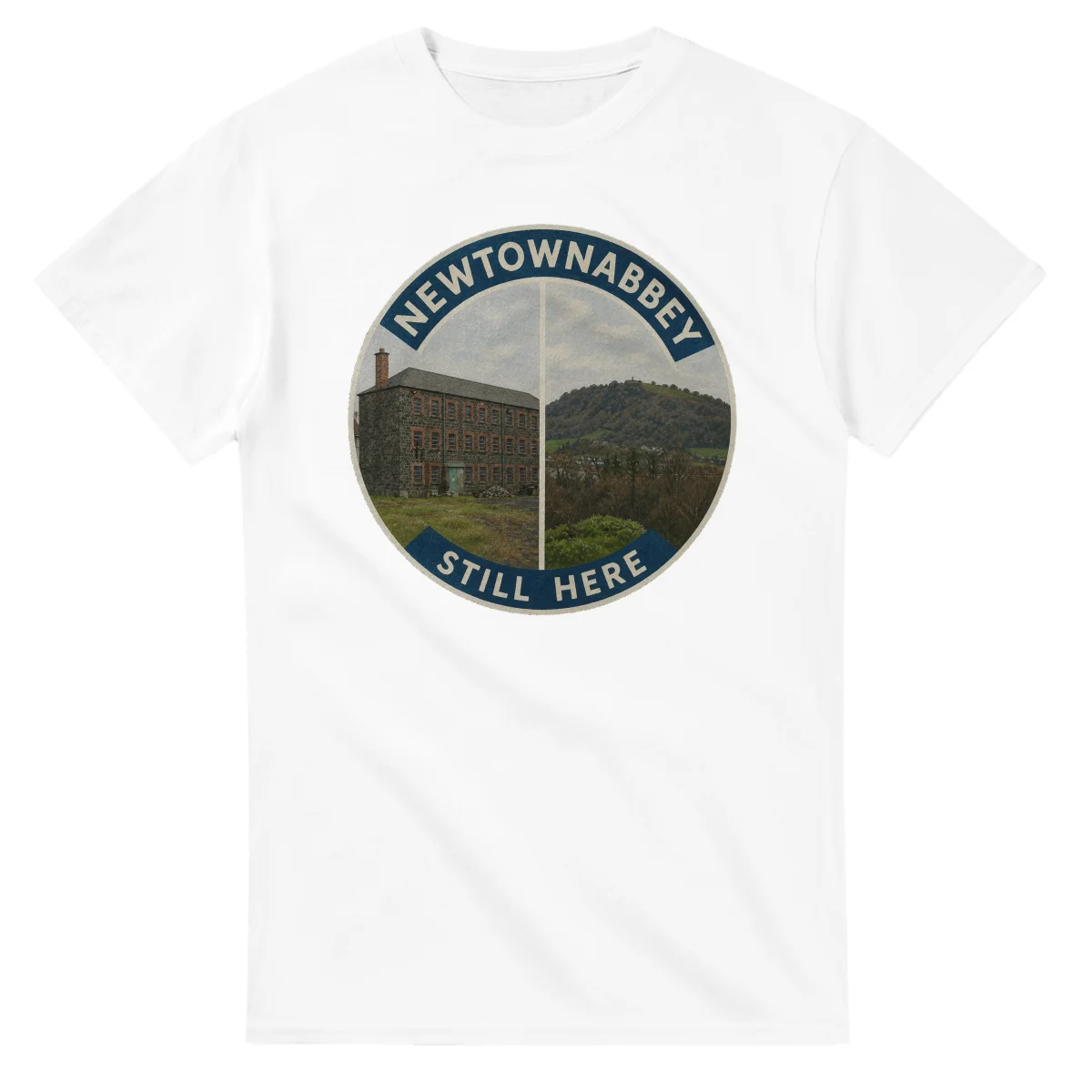 Painted, panelled scenic illustration for Newtownabbey, with paired local scenes and the place name in lettering.