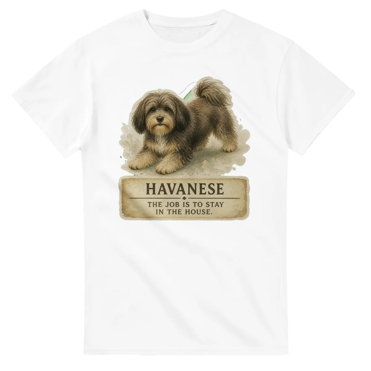 Havanese - Working Roots