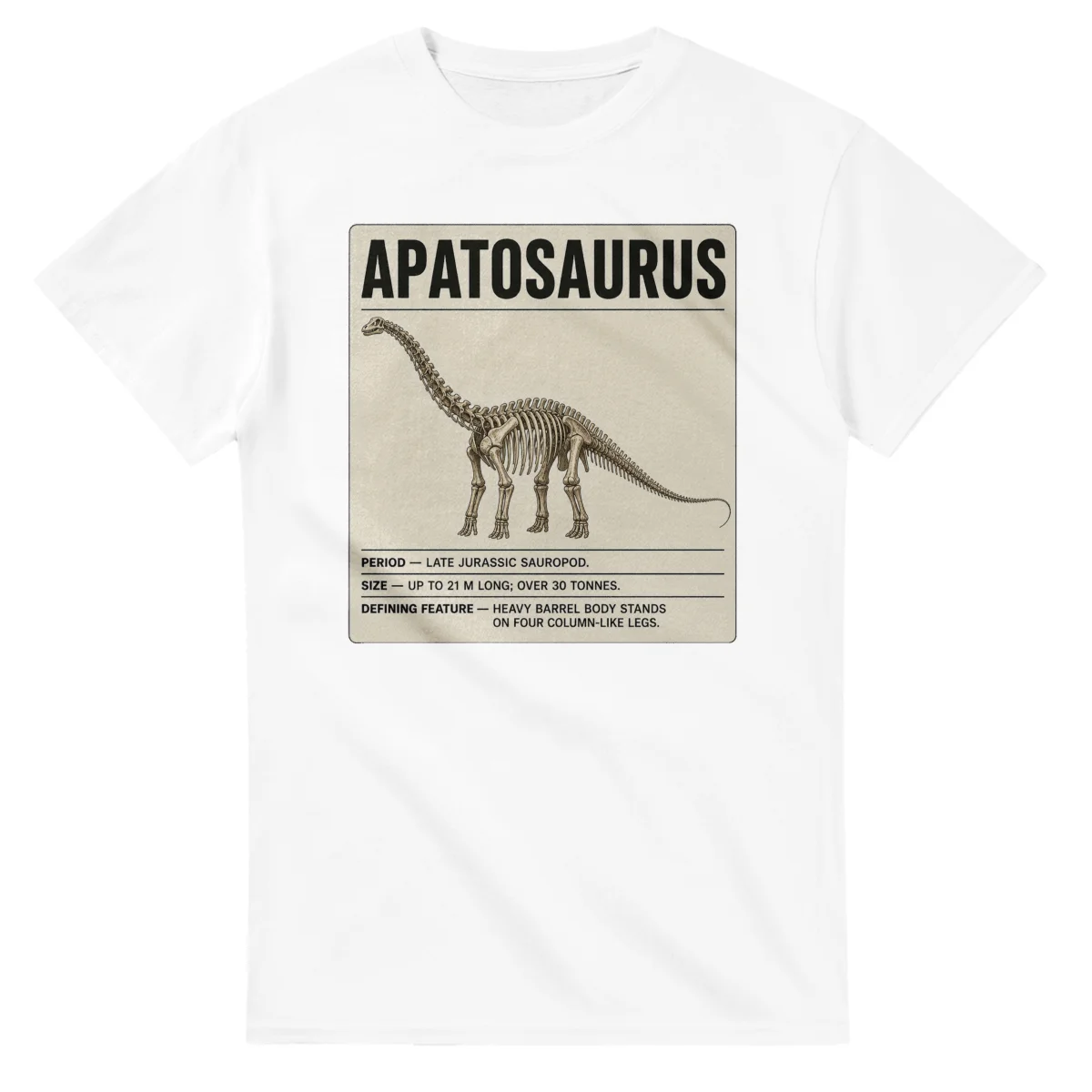Apatosaurus - Set in Stone