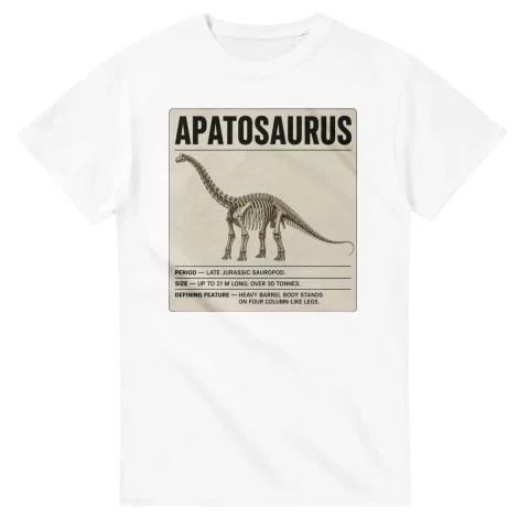 Apatosaurus - Set in Stone