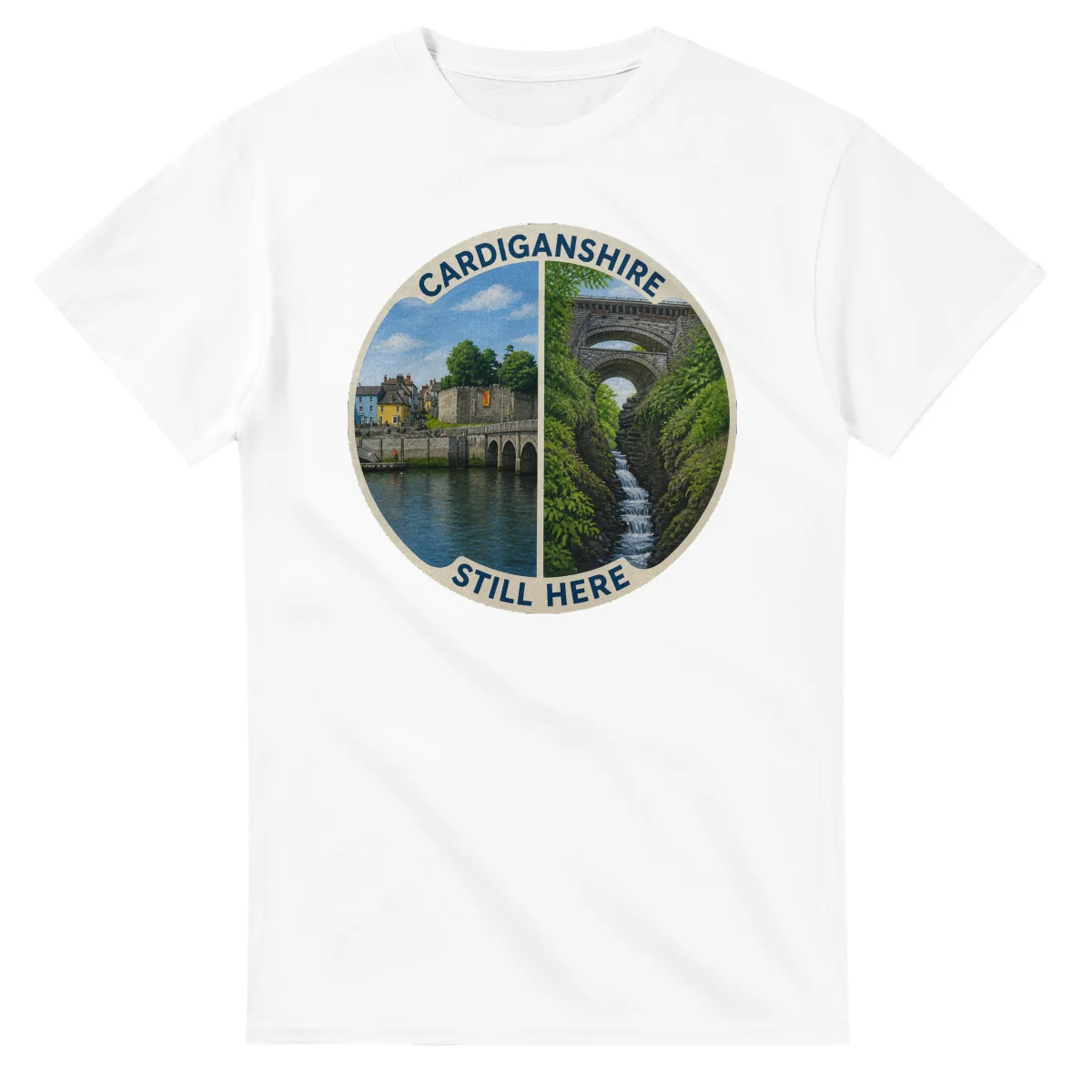 Painted, panelled scenic illustration for Cardiganshire, with paired local scenes and the place name in lettering.