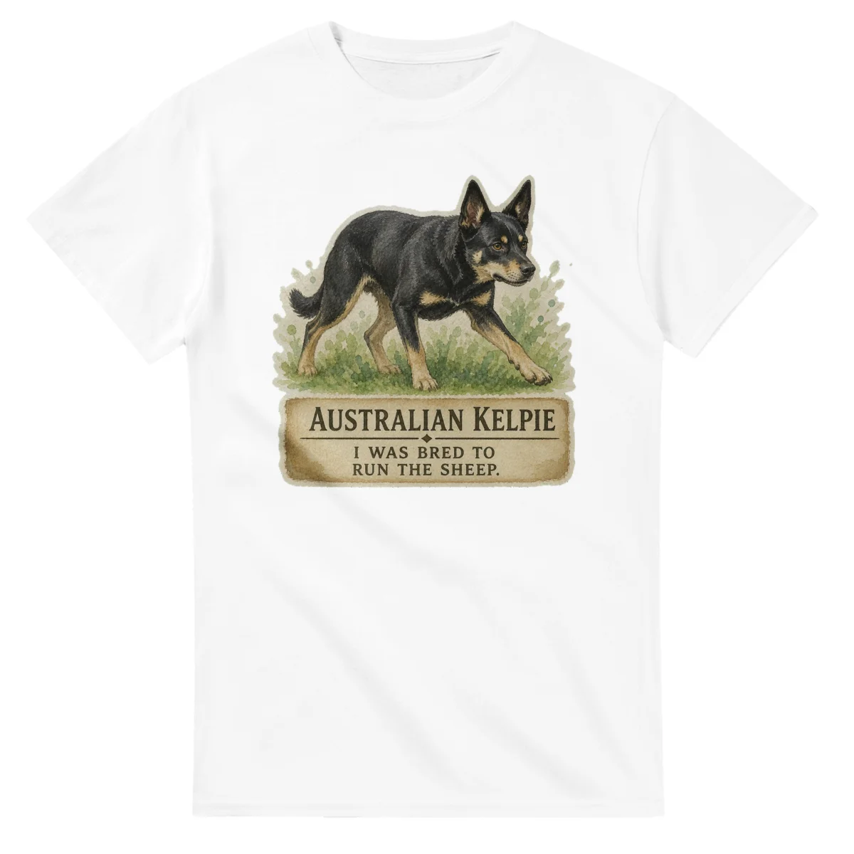 Australian Kelpie - Working Roots