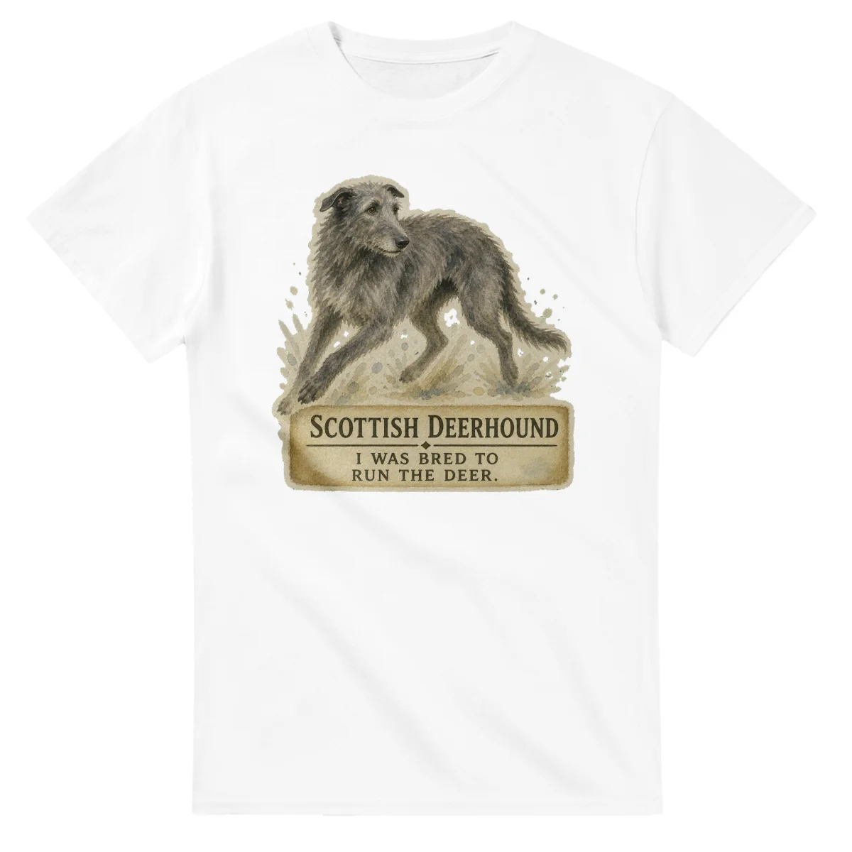 Scottish Deerhound - Working Roots