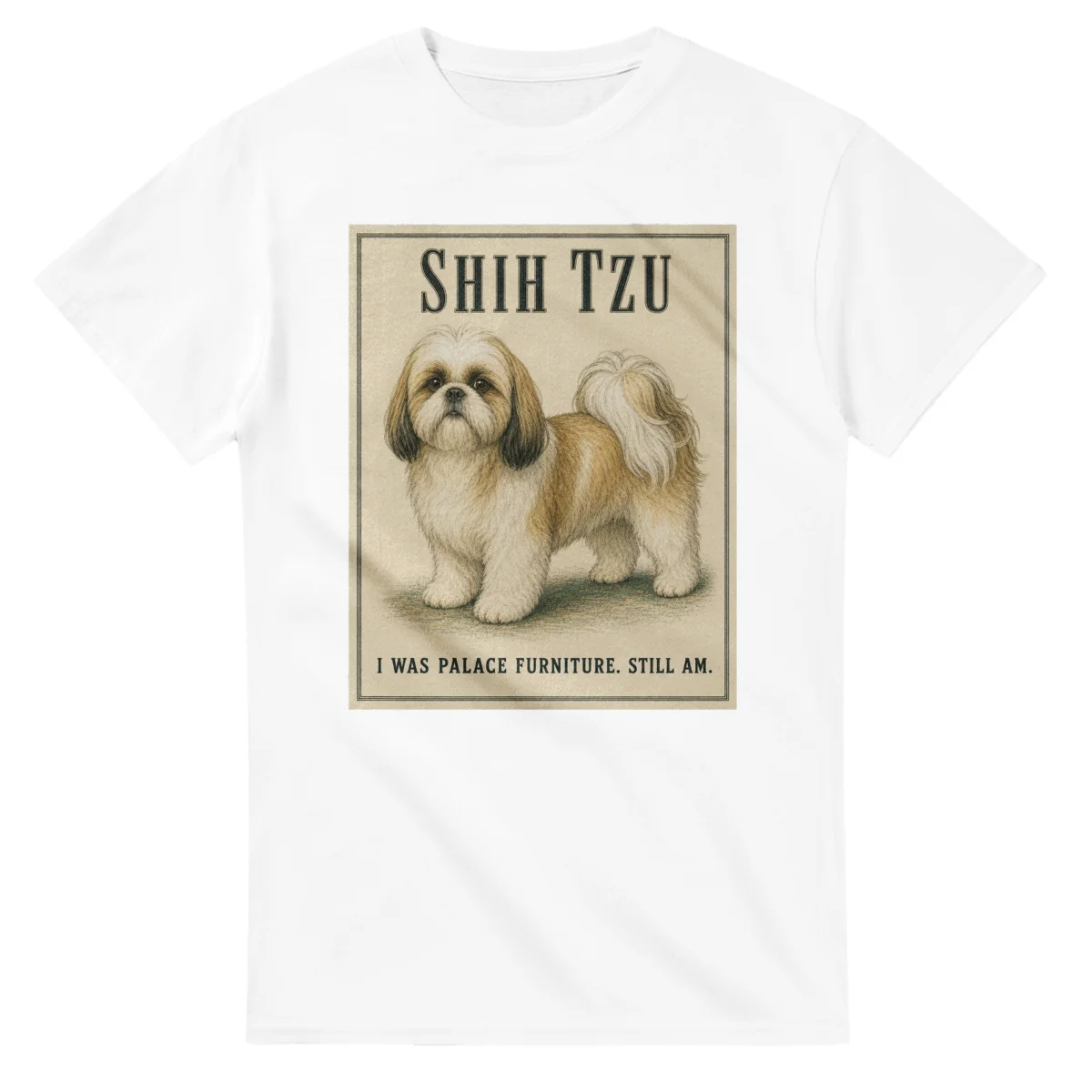 Shih Tzu - Well Bred
