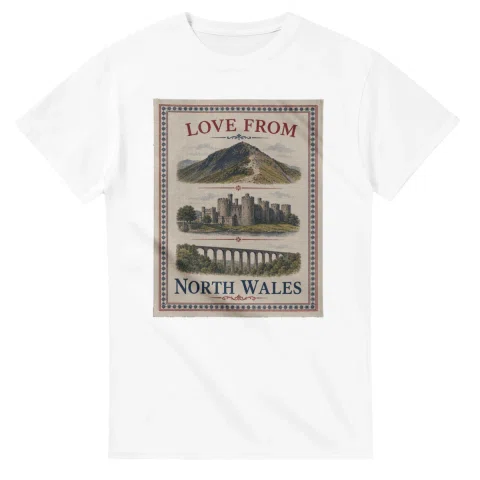 Framed scenic design for North Wales, with several local views, a decorative border and LOVE FROM lettering.