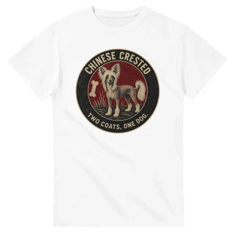Chinese Crested - Two Coats, One Dog