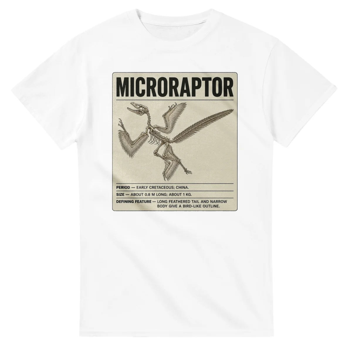 Microraptor - Set in Stone