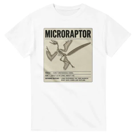 Microraptor - Set in Stone