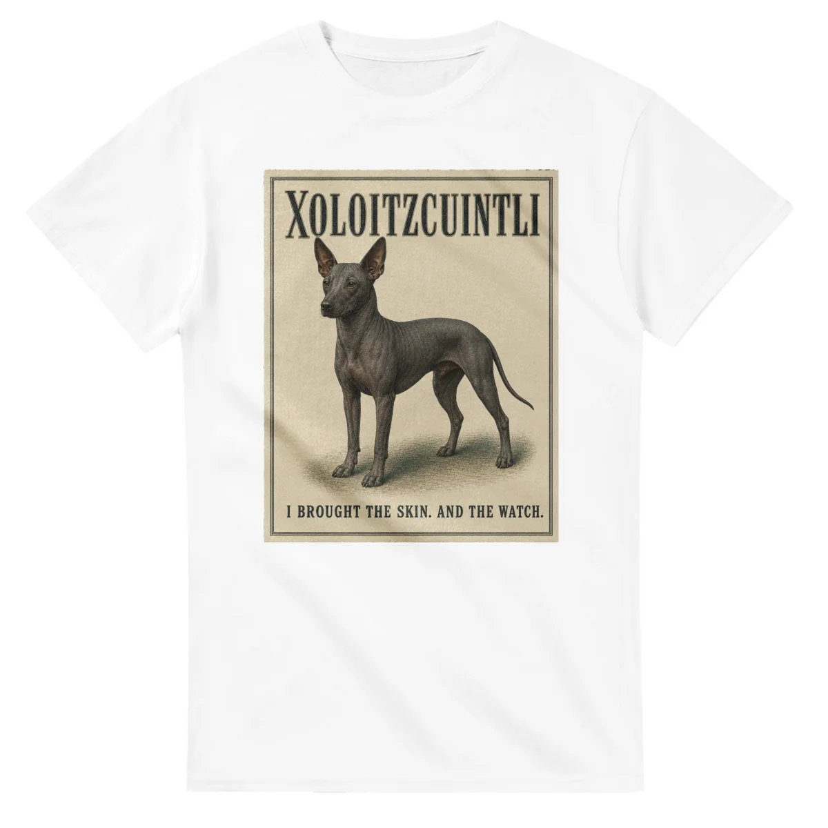 Xoloitzcuintli - Well Bred