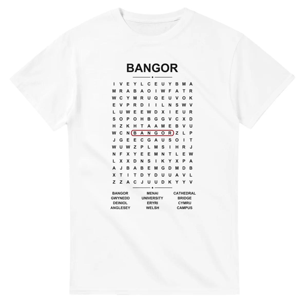 Word-search sheet for Bangor, with a large place-name heading, a letter grid, a local answer list, and a red highlighted example word.