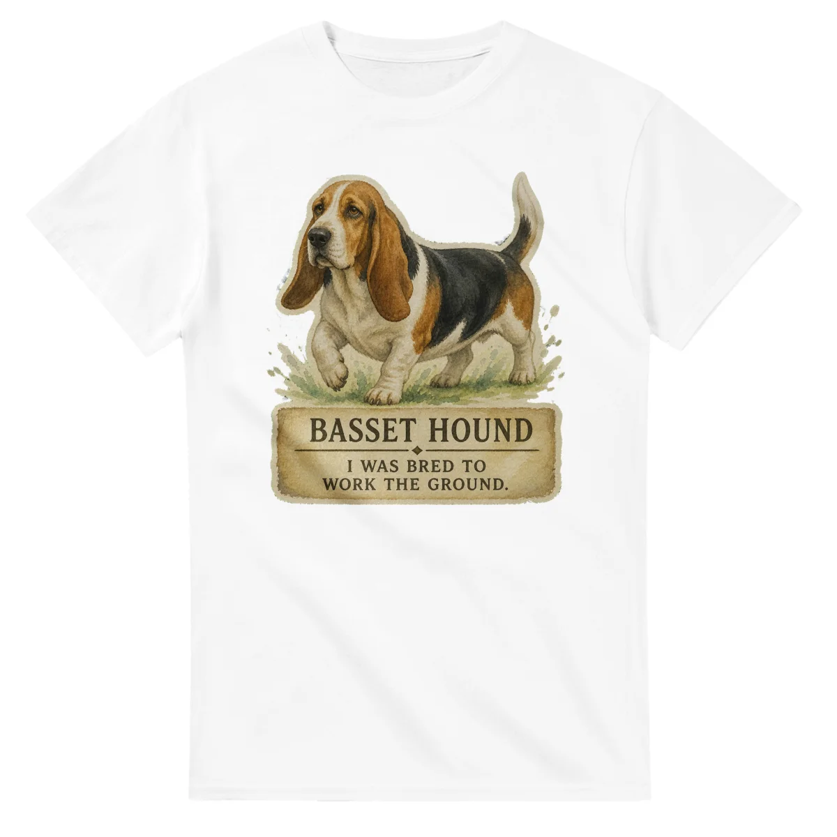Basset Hound - Working Roots