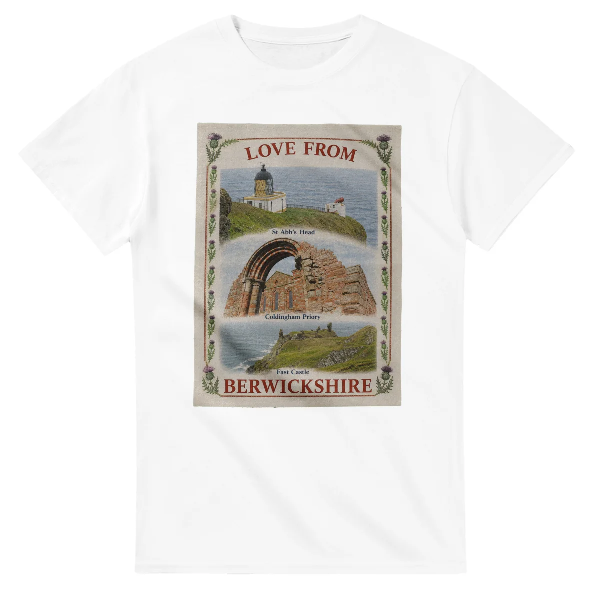 Framed scenic design for Berwickshire, with several local views, a decorative border and LOVE FROM lettering.