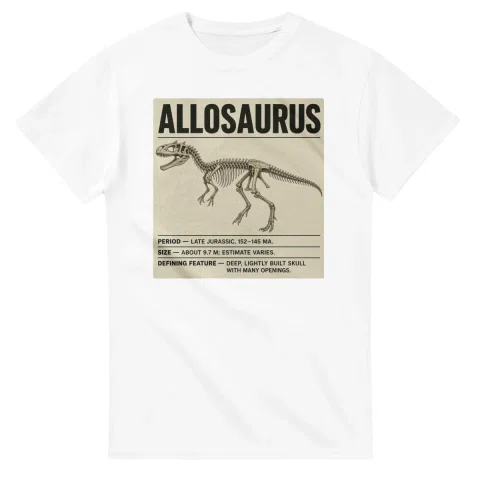 Allosaurus - Set in Stone
