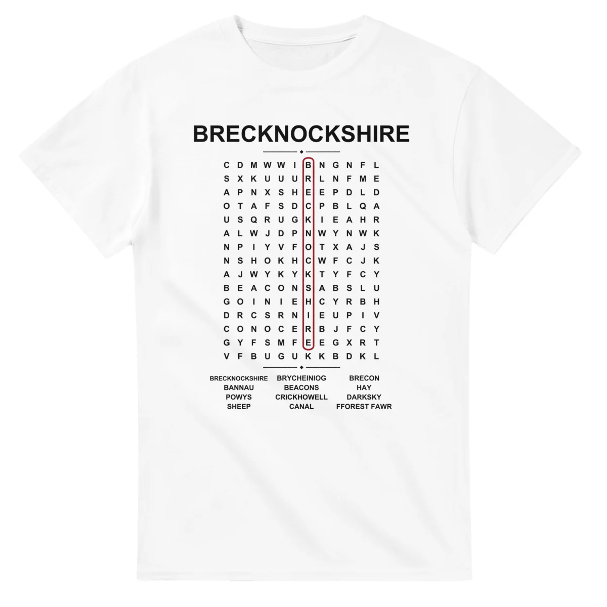 Word-search sheet for Brecknockshire, with a large place-name heading, a letter grid, a local answer list, and a red highlighted example word.