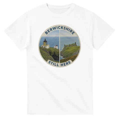 Painted, panelled scenic illustration for Berwickshire, with paired local scenes and the place name in lettering.