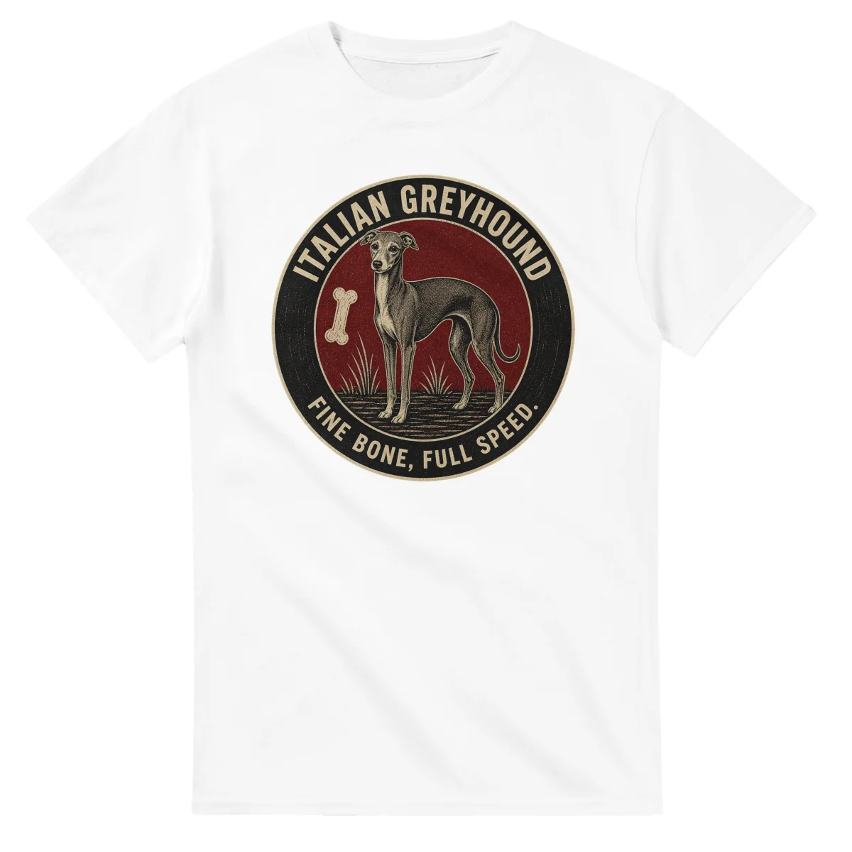 Italian Greyhound - Fine Bone, Full Speed