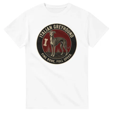 Italian Greyhound - Fine Bone, Full Speed