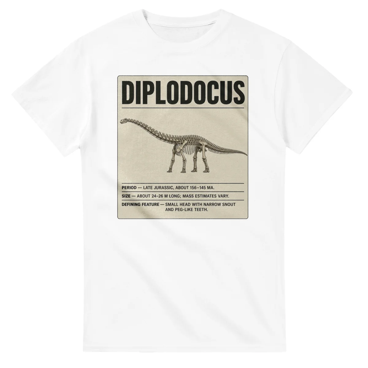 Diplodocus - Set in Stone