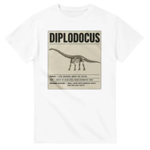 Diplodocus - Set in Stone