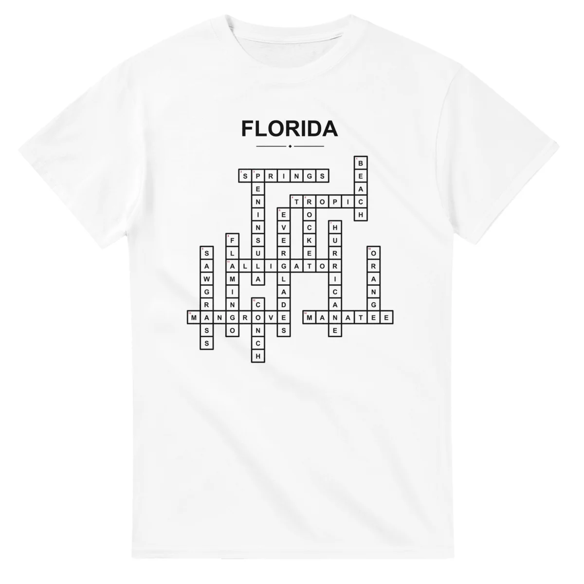 Monochrome crossword sheet for Florida, with a large place-name heading, a letter grid, and numbered across and down clues.