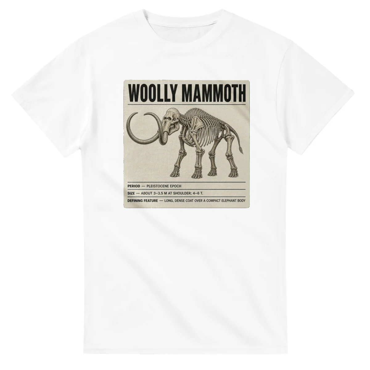 Woolly mammoth - Set in Stone