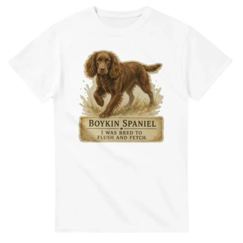 Boykin Spaniel - Working Roots