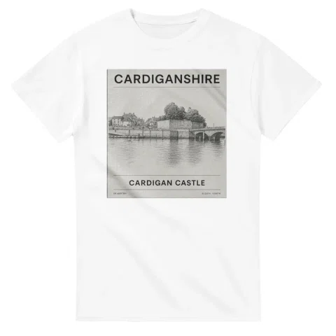 Fine-line engraving-style drawing for Cardiganshire, with a landmark caption and small coordinate text.