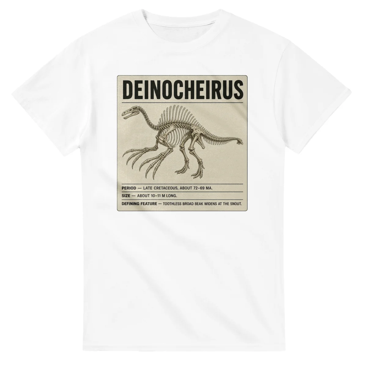 Deinocheirus - Set in Stone