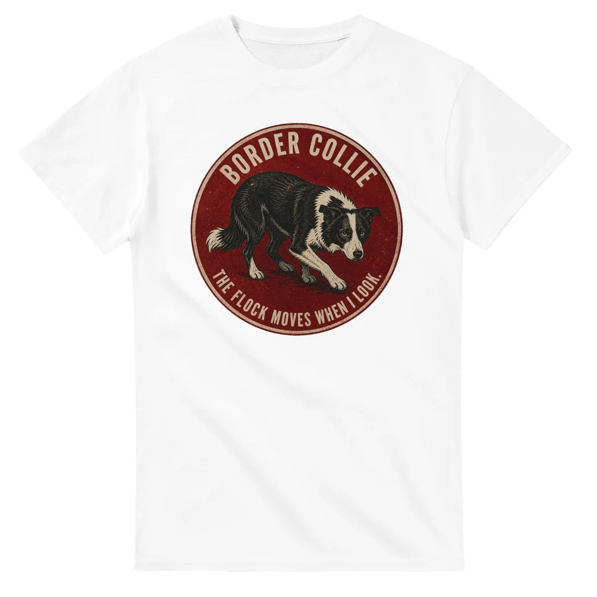 Border Collie - Best in Show