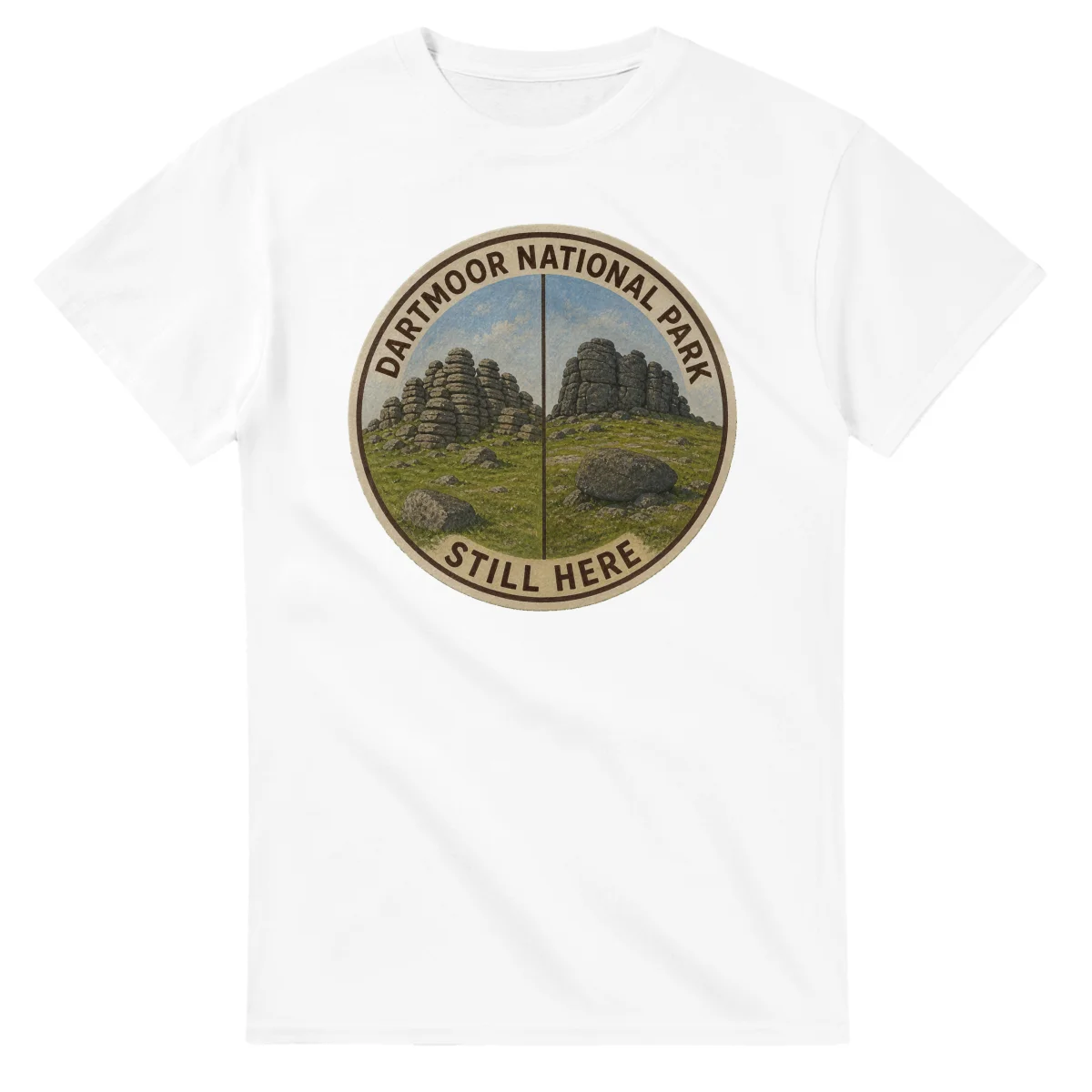Painted, panelled scenic illustration for Dartmoor National Park, with paired local scenes and the place name in lettering.