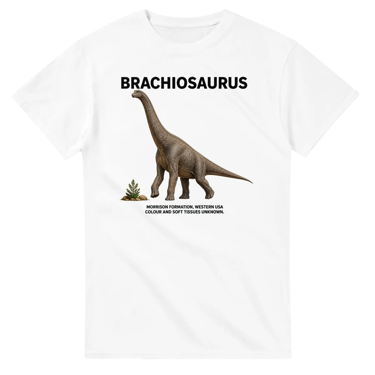Brachiosaurus - Artist's Impression