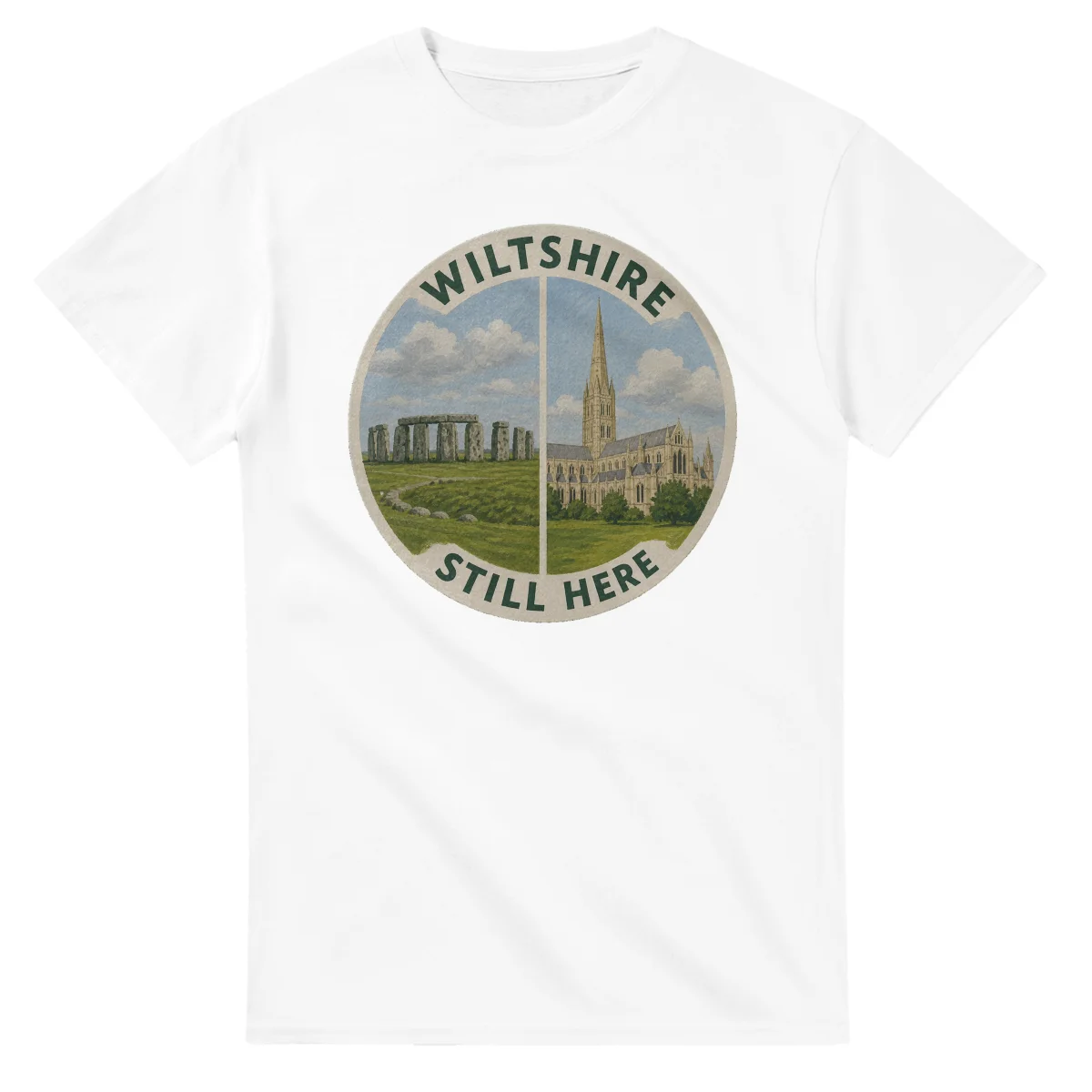 Painted, panelled scenic illustration for Wiltshire, with paired local scenes and the place name in lettering.